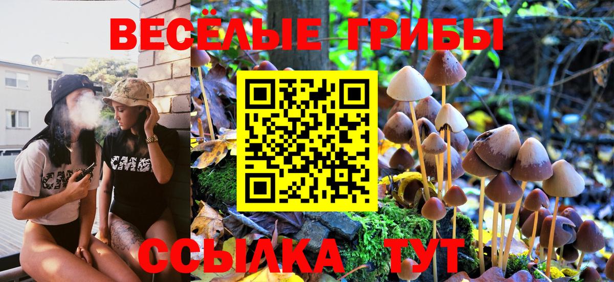 Псилоцибиновые грибы Psilocybe Урай